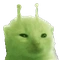 Community icon