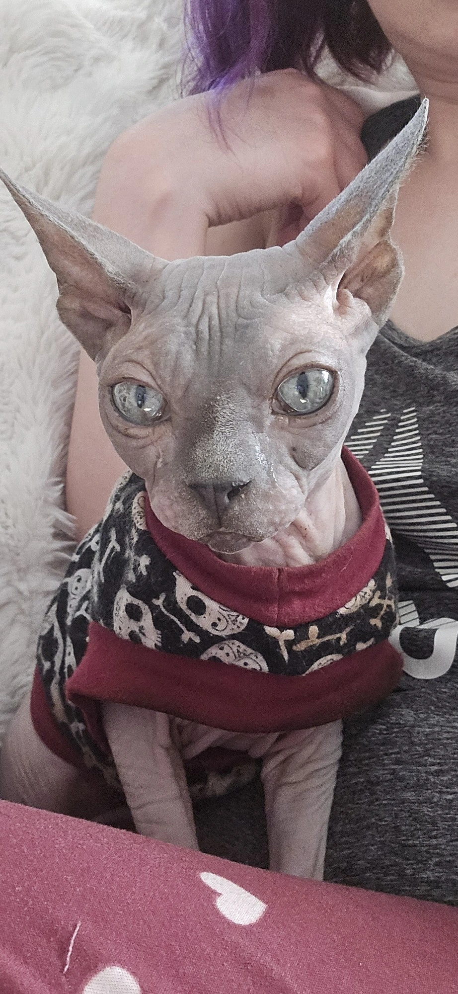 Ignore me and look at this adorable monster 