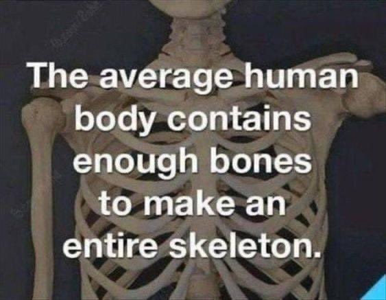 Spooky season never stops 