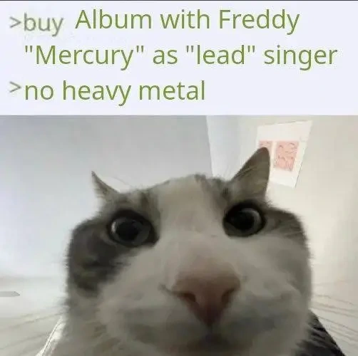 An image of a cat staring at the camera. The caption reads: "buy album with Freddy 'Mercury' as 'lead' singer. No heavy metal."