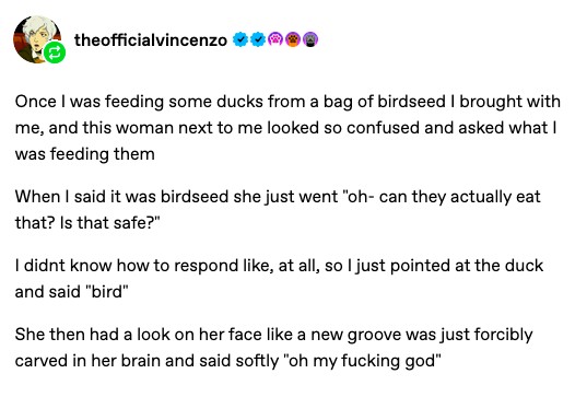 Bird