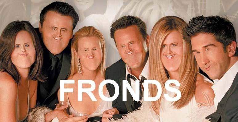 A meme showing the cast of "Friends" with their faces massively scaled down.