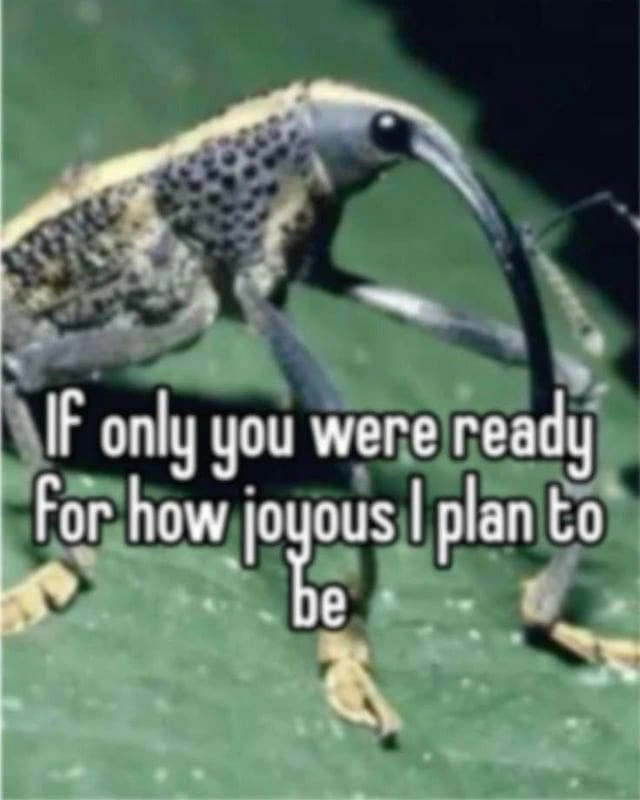 If only you were ready for how joyous I plan to be