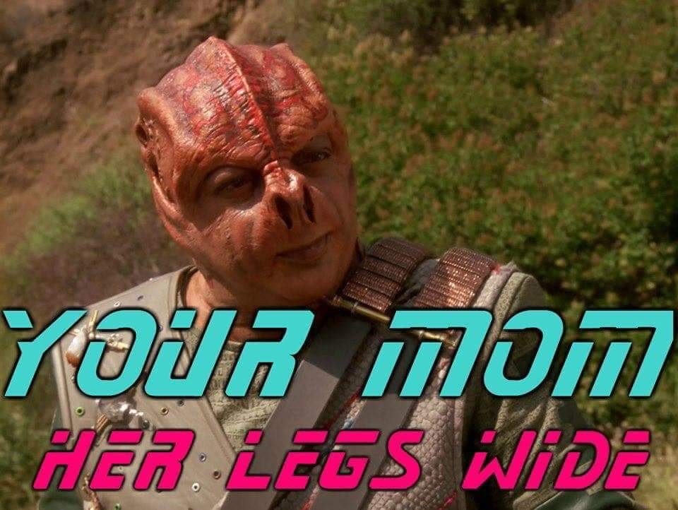 For when you want to insult a Trekkie