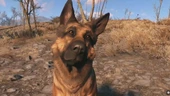 Bethesda's Todd Howard says "we are doing other things with Fallout that we haven’t announced, and there’ll come a time for that"