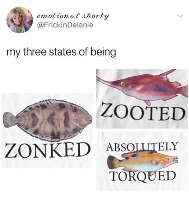 states of being