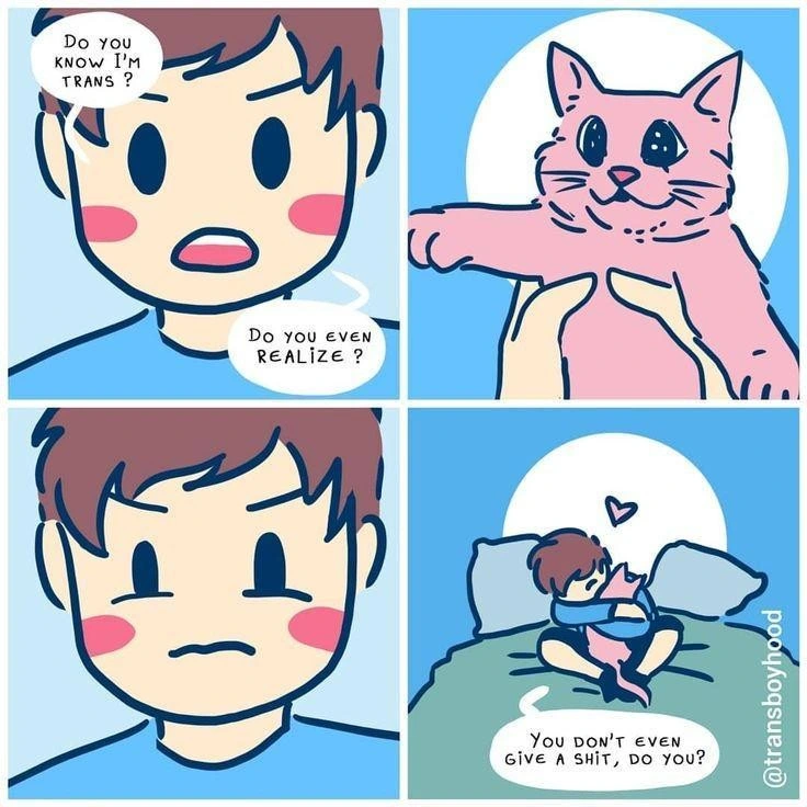 Cats get it