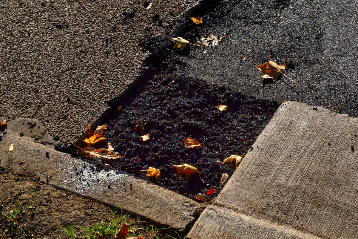 Autumn Chocolate Brownie Squares ($1 a piece - $20 a sheet)