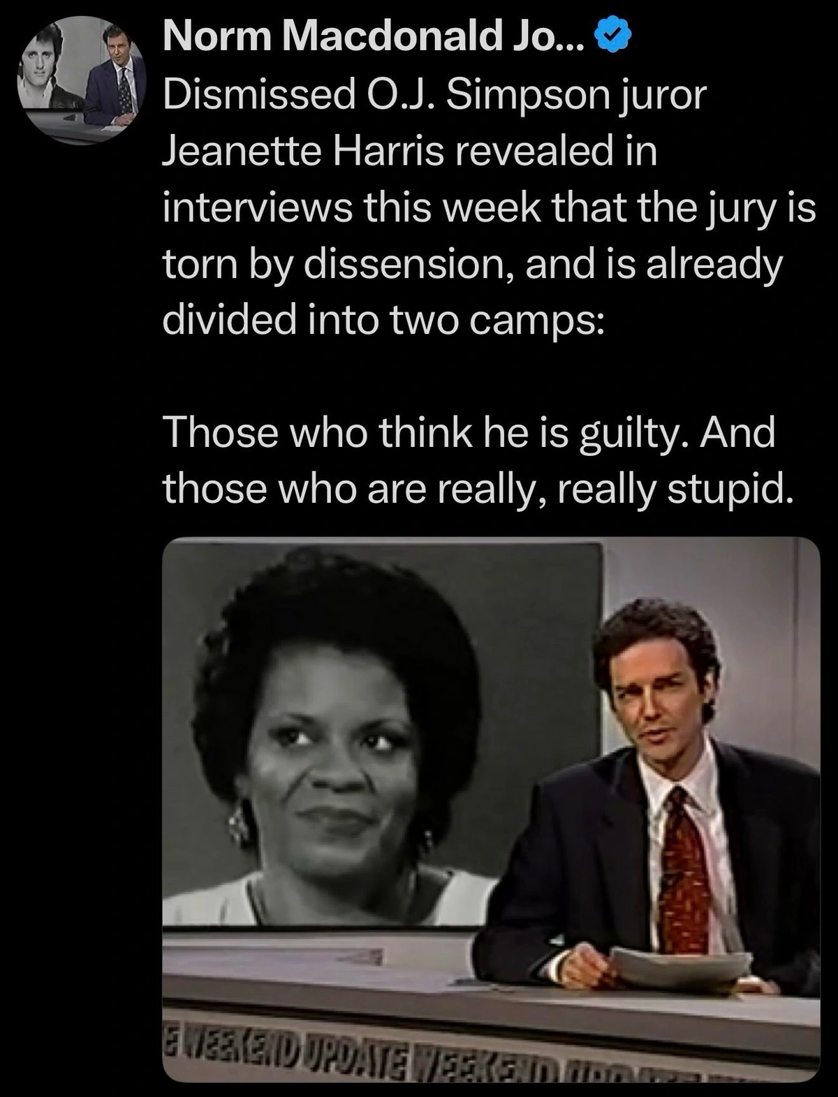 Dismissed O.J. Simpson juror Jeanette Harris revealed in interviews this week that the jury is torn by dissension, and is already divided into two camps: Those who think he is guilty. And those who are really, really stupid.