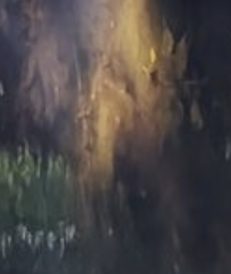 IQQ3YtW2Is6aizi.png