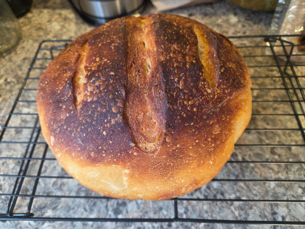 Today's sourdough loaf