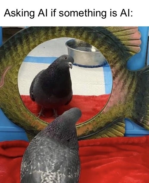 Birds aren't real
