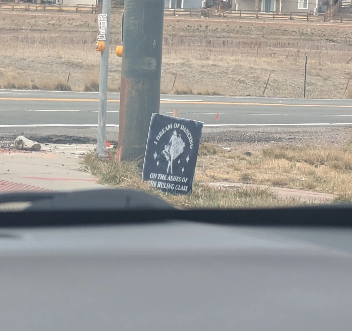 Spotted in the wild in Colorado