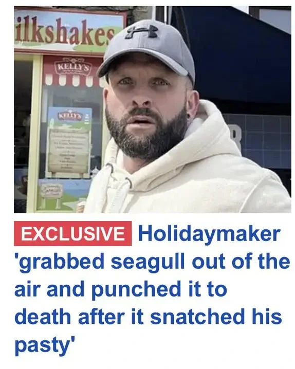 Daily Mail headline: "Holidaymaker 'grabbed seagull out of the air and punched it to death after it snatches his pasty'"