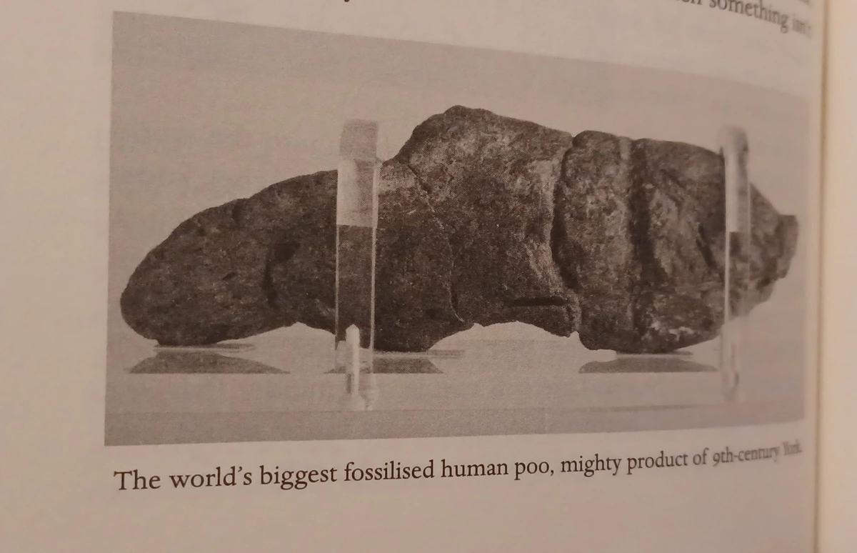 Absolute unit