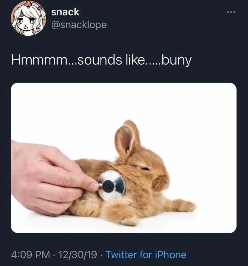 Post:"Hmmmm...sounds like.....buny" picture of someone putting a stethoscope on a bunny