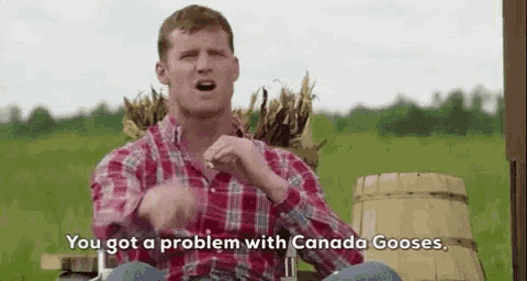 Wayne from Letterkenny saying: "You got a problem with Canada gooses, you got a problem with me, and I suggest you let that one marinate."