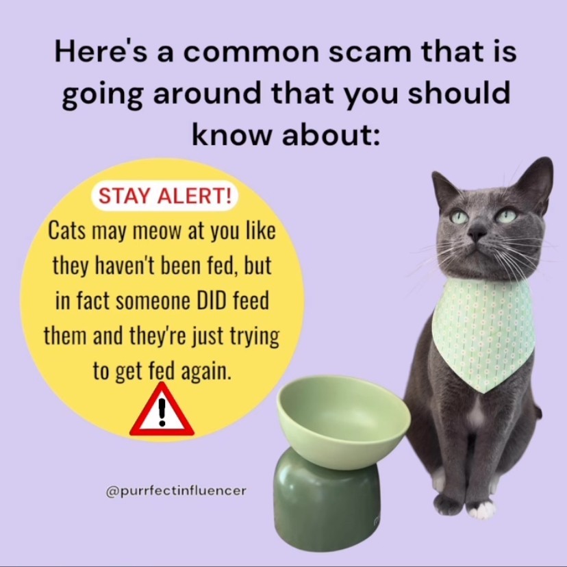 Simple rule to avoid scams
