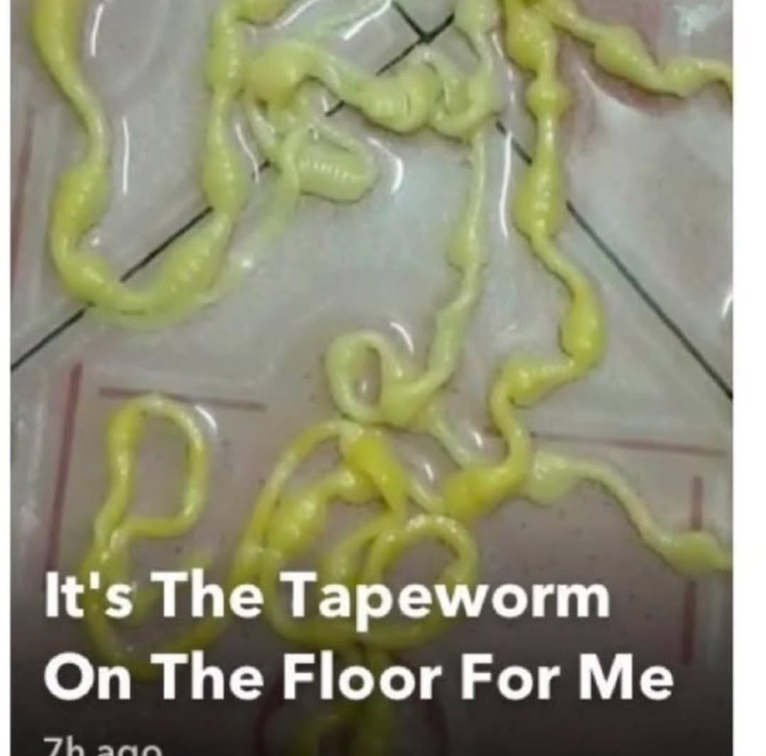 Worm on the floor for today