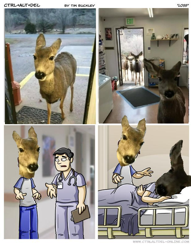 cjNhmnfCNH3WBZv.png