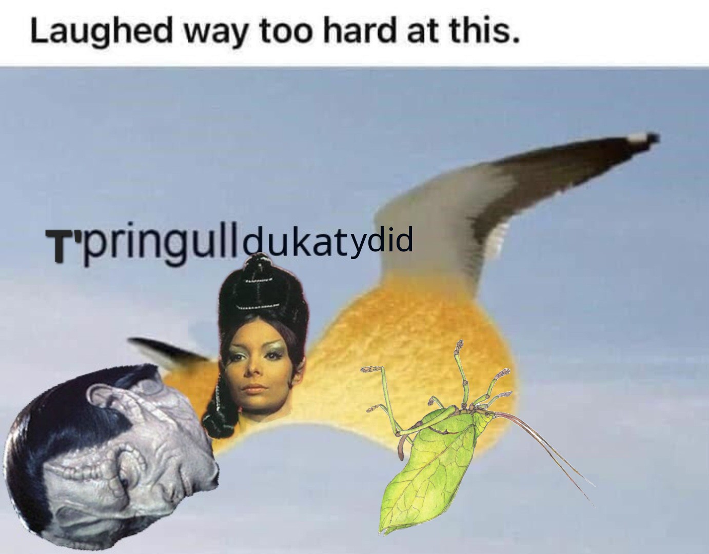 eGNp50Ft4BaJAG8.jpeg