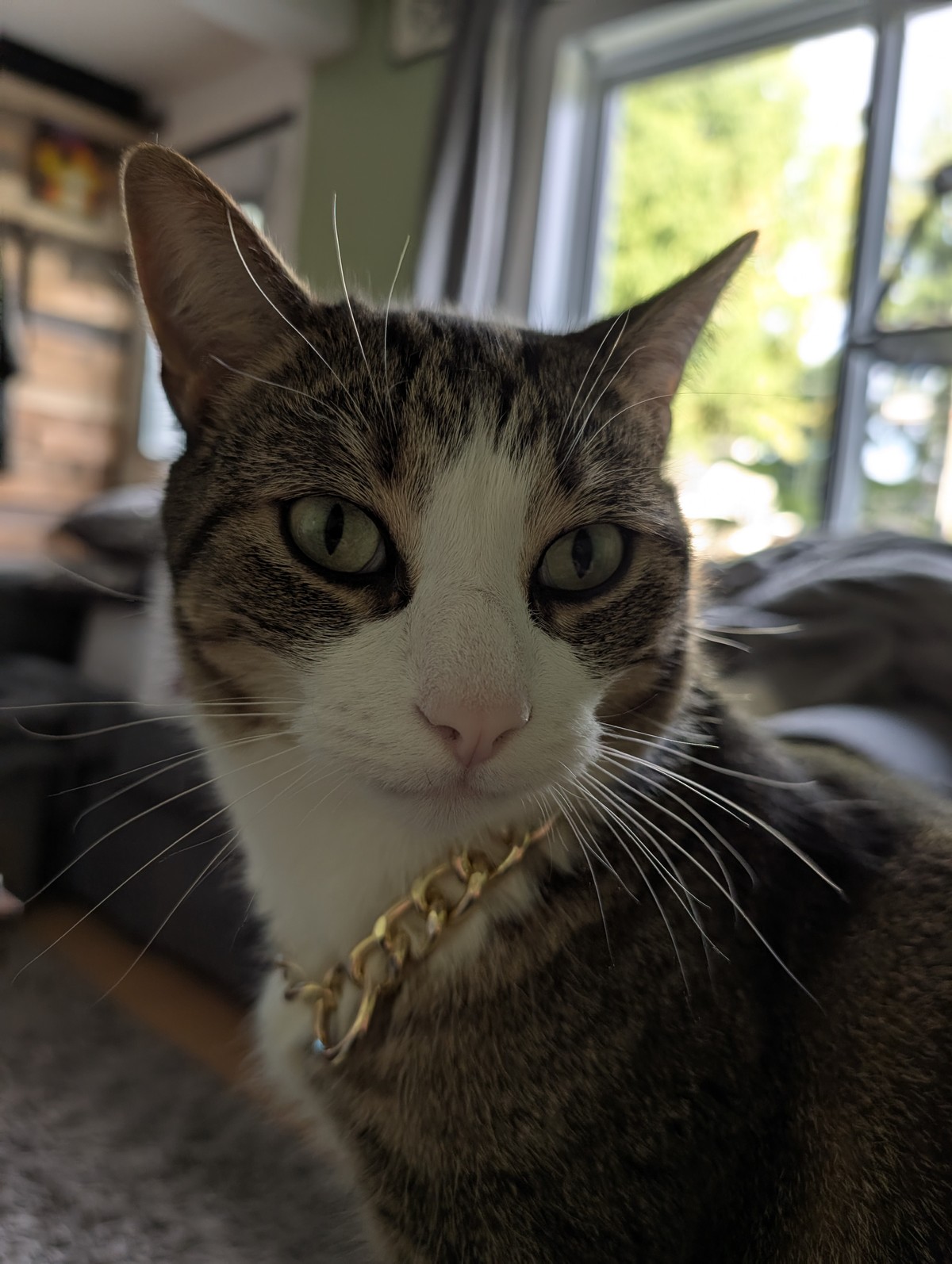 My little Prince