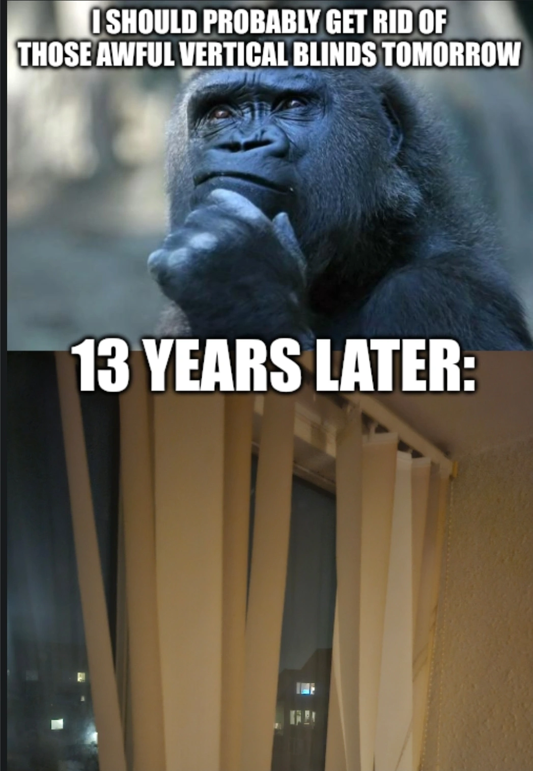 Executive Malfunction