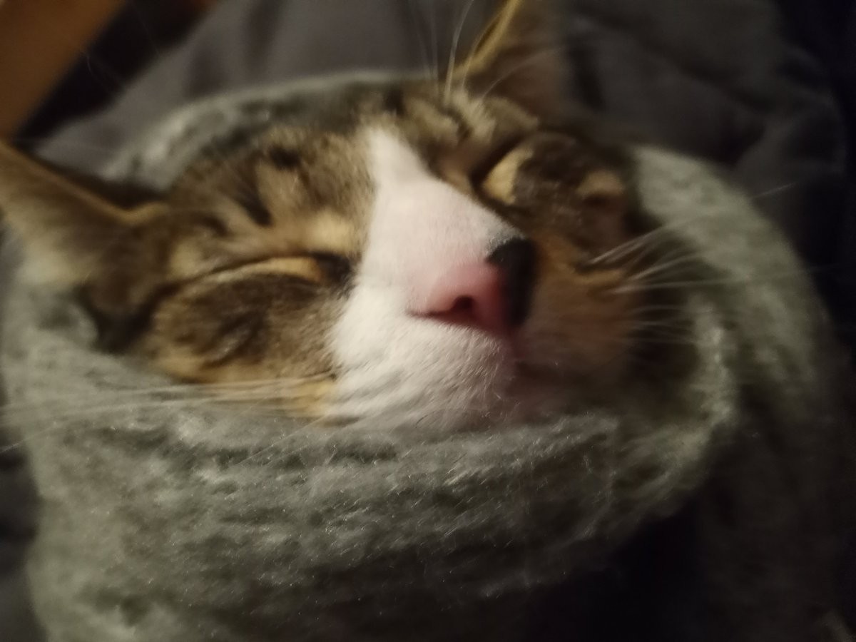 Car feeling the winter chill