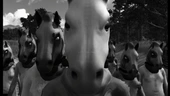 There's more to Horses than the Steam ban: The controversial horror game is a great example of how games can effectively borrow from film, and how they can also stumble