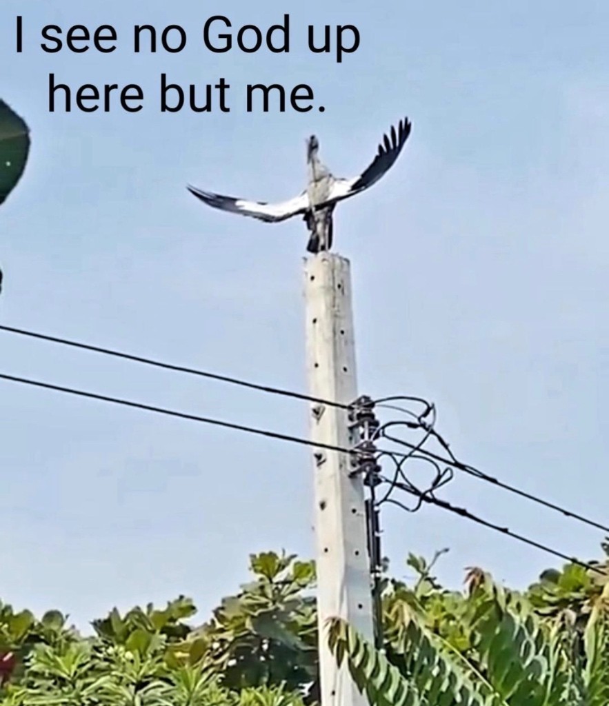 I see no God up here but me.