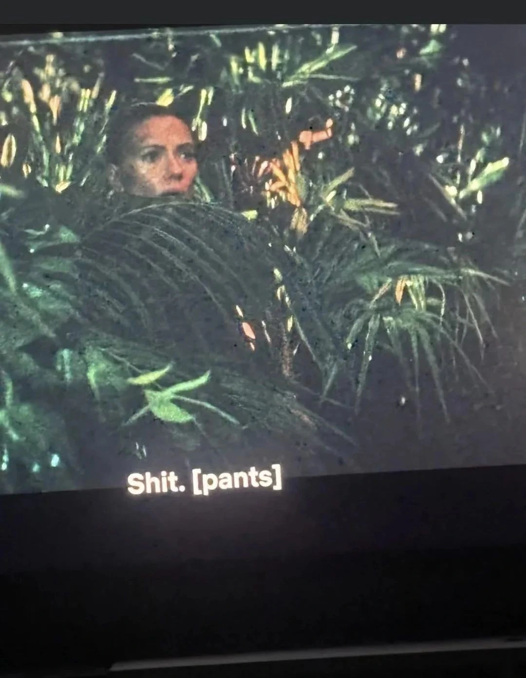 When you see the scary dinosaur
