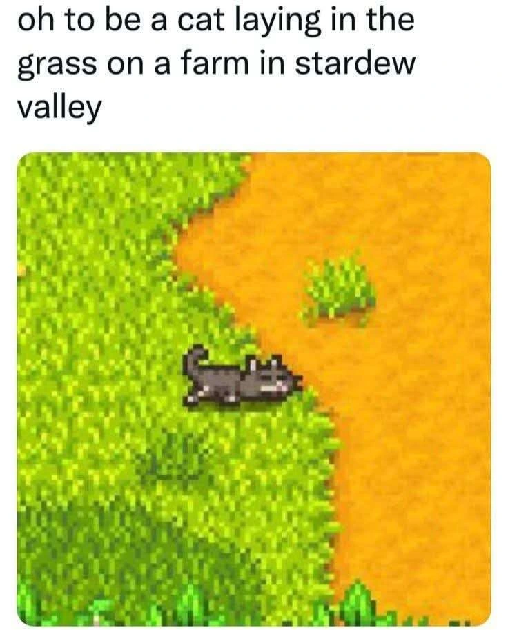 I crave their serenity