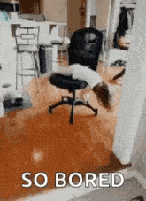 rrPw0Kok4rWMToi.gif