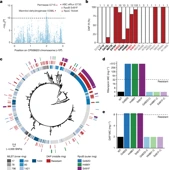 Rifaximin prophylaxis causes resistance to the last-resort antibiotic daptomycin - Nature