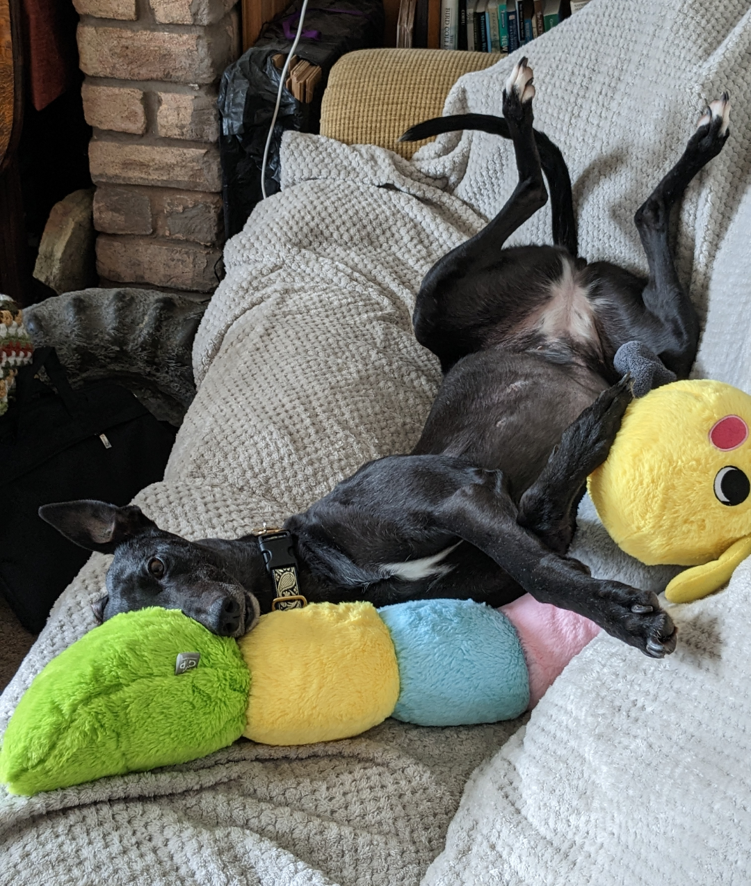 Comfort is a matter of perspective