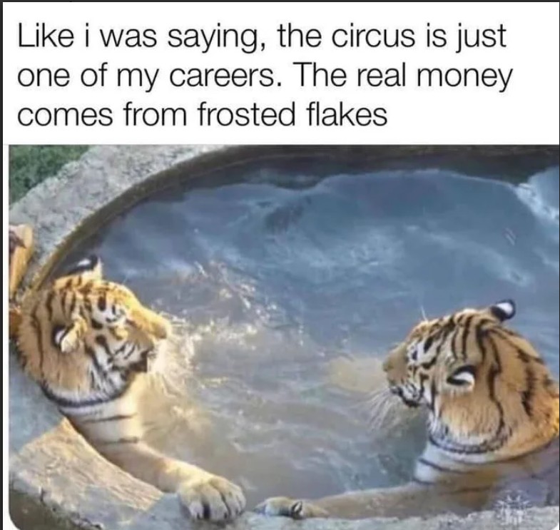 If you are smart you have multiple income streams
