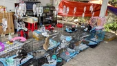 Vietnam police rescue over 400 cats from being eaten