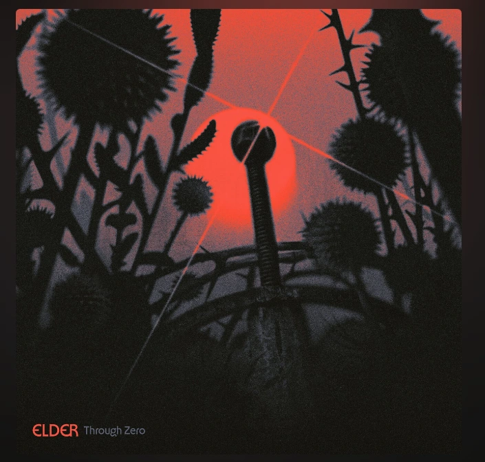 Plants in the sunset