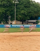 How the Dominican Baseball Factory Traps Young Players and Their Families With False Promises